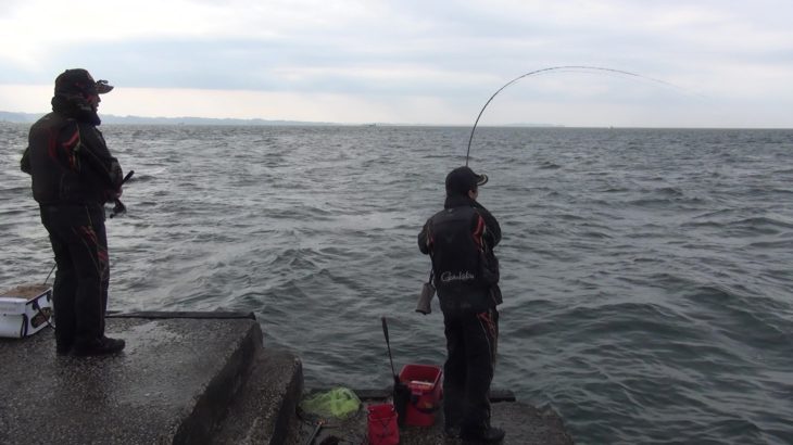 【動画更新】釣りの動画を1本、本日公開しました。久里浜沖でマダイ・黒鯛を狙う！