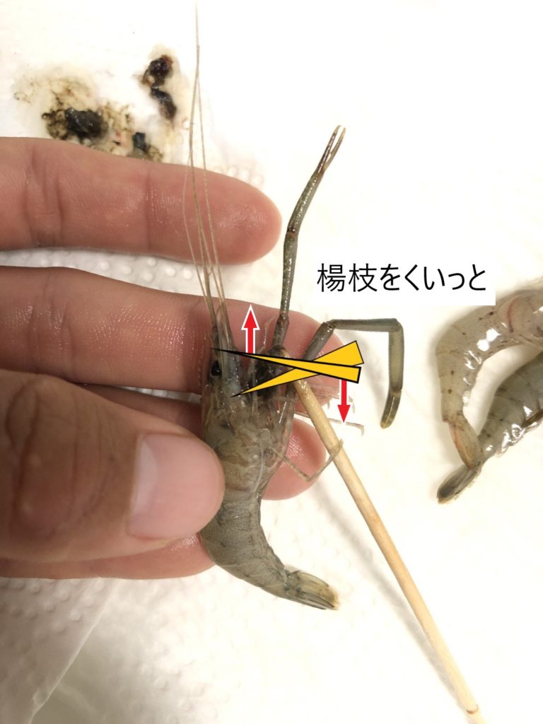 初心者大歓迎 梅雨がシーズンインの合図 釣っても食べてもヨシ コロナ禍に最適な遊びテナガエビ釣り Marin No Koike Syndrome まりんのこいけしんどろーむ