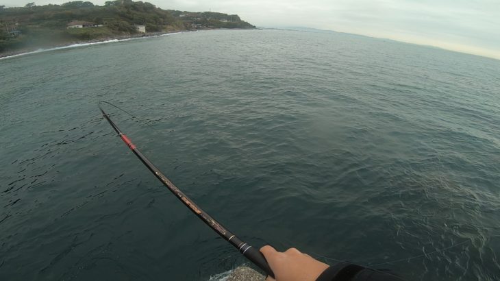 少し荒れて濁った江之浦でフカセ釣り！