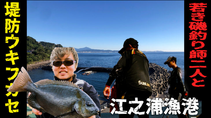若き磯釣り師と江之浦漁港で爆釣なるか？！